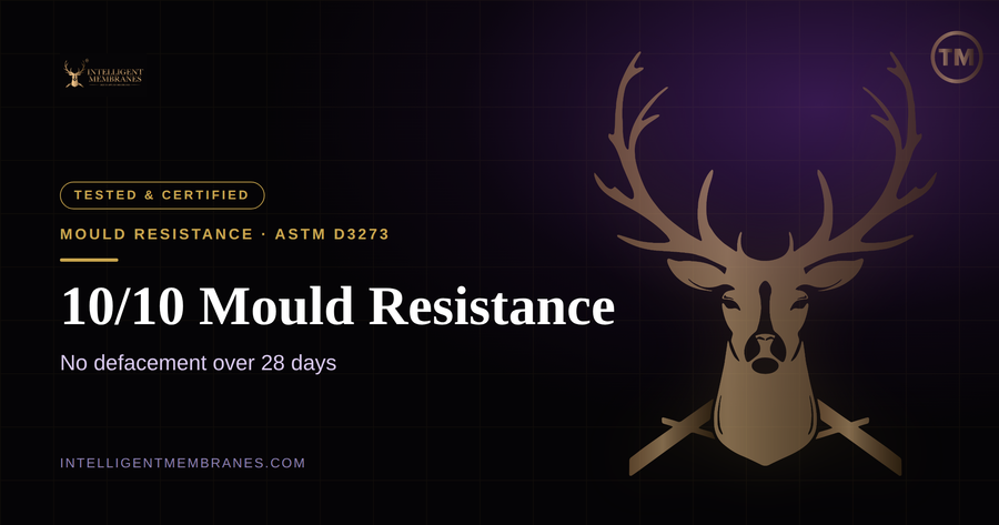 Mould and Fungal Resistance: How Passive Purple Protects Airtight Interiors