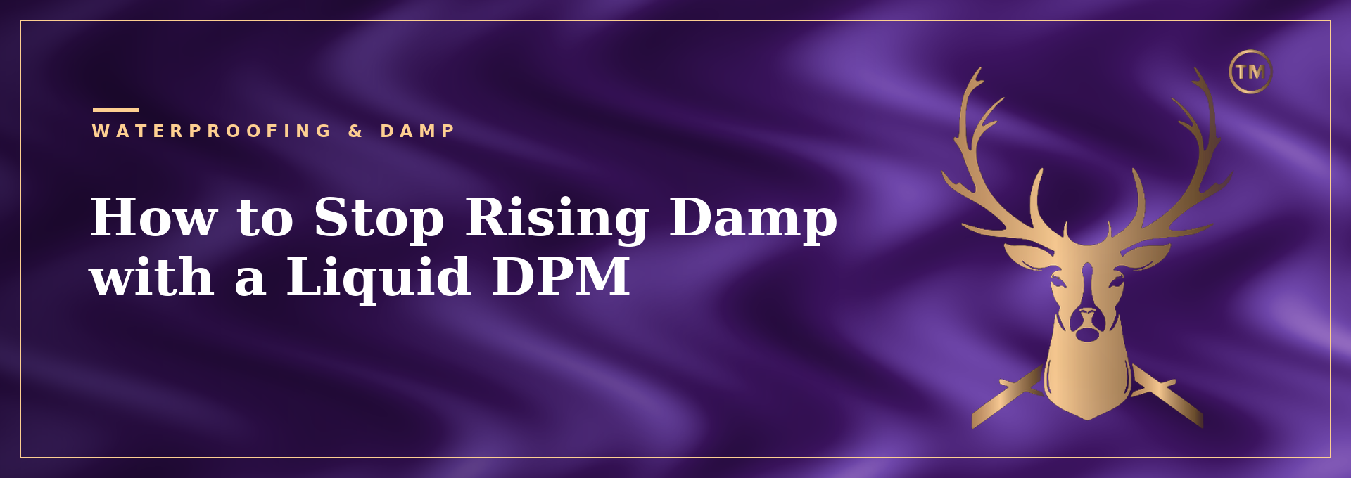 How to Stop Rising Damp with a Liquid DPM – Intelligent Membranes