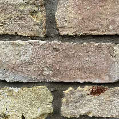 masonry brick sealant to stop mold and damp